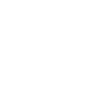 linkedin-icon